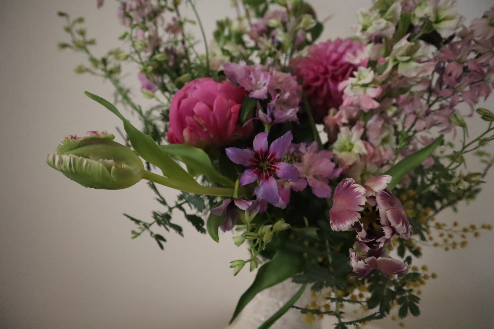 今月の花