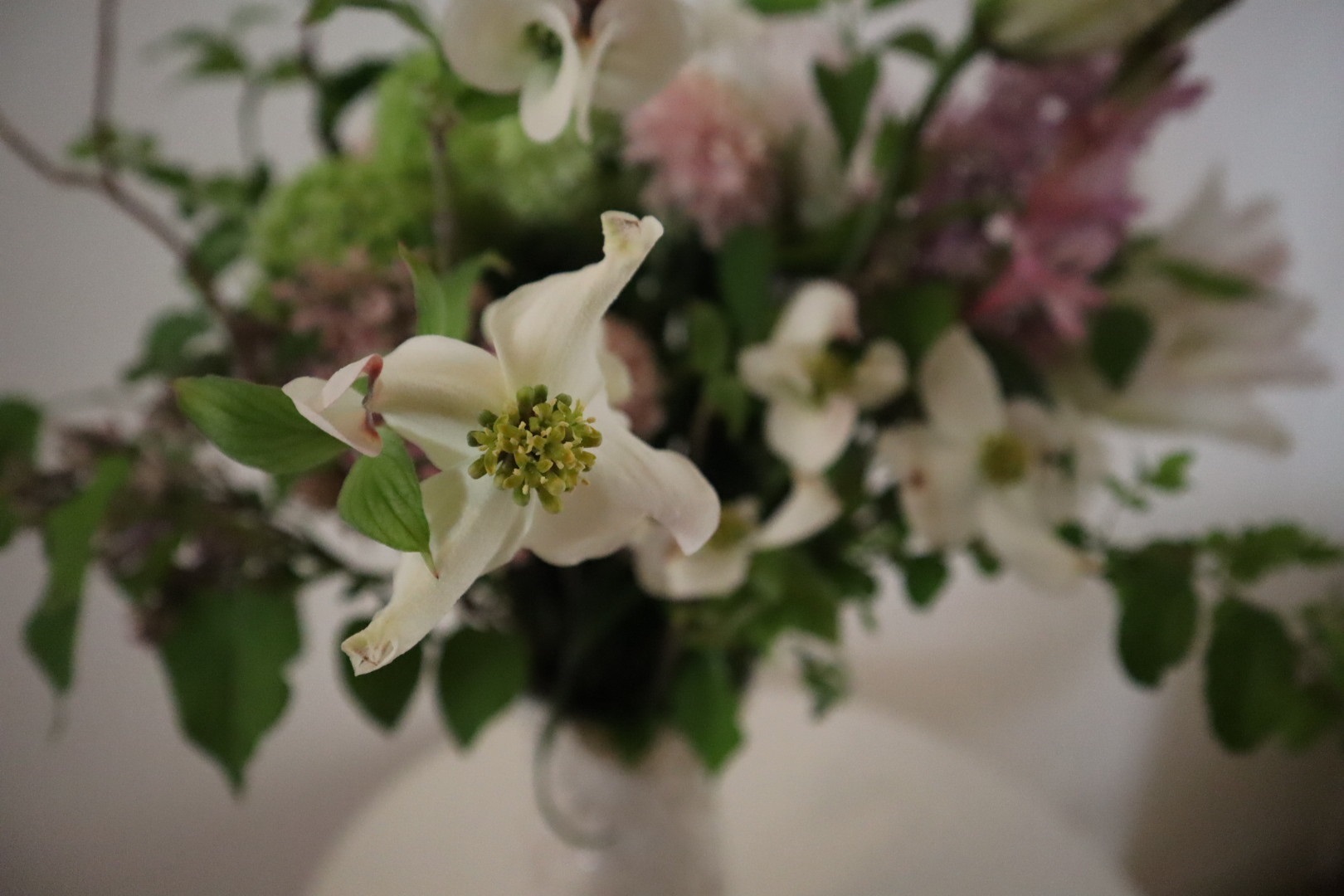 先月の花