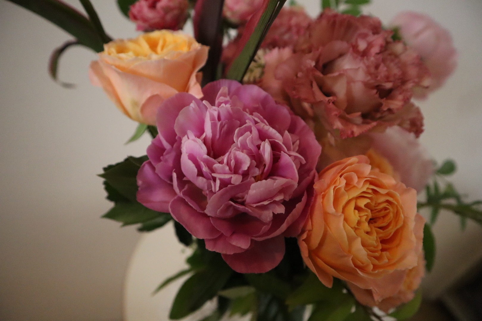 先月の花