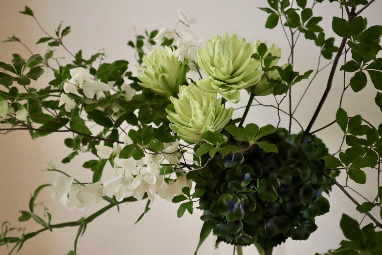 先月の花