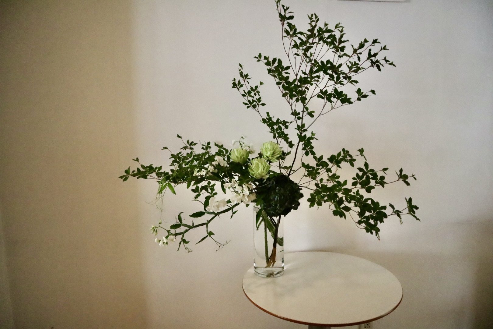 先月の花