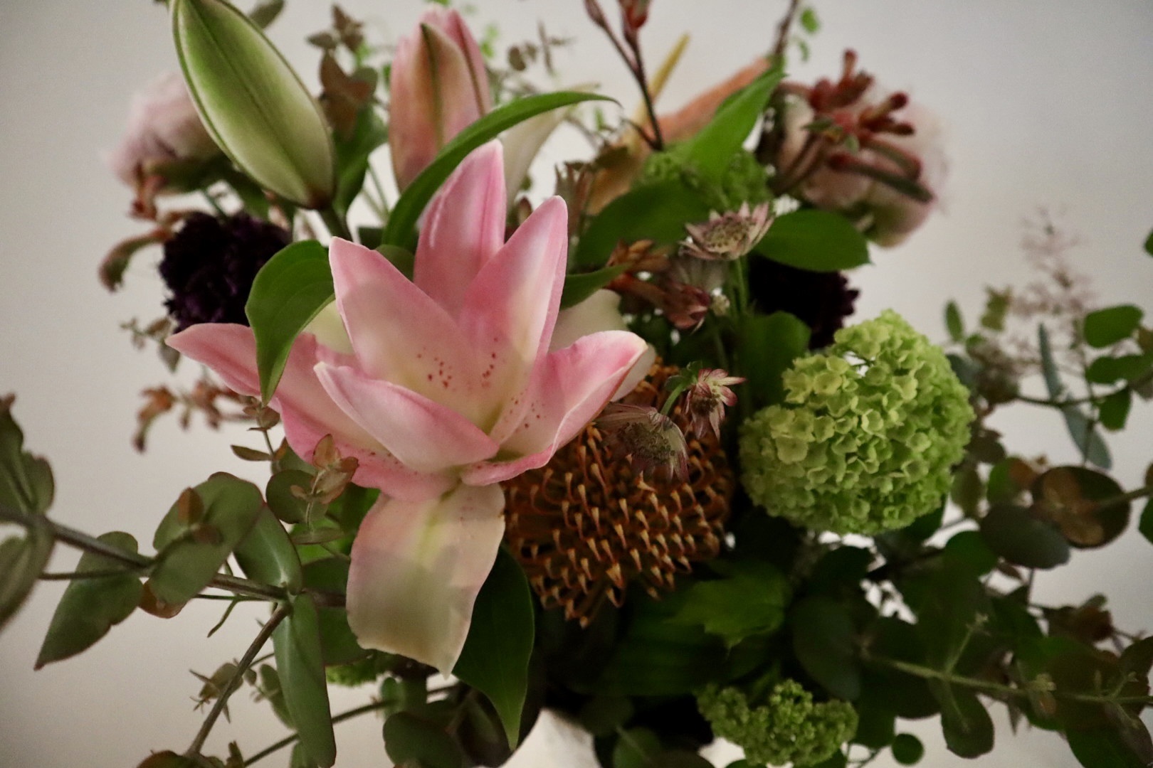 今月の花